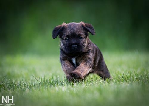 dagny 4 dagny 4