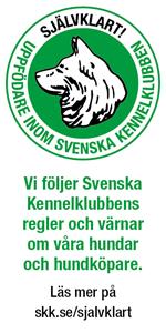 banner SKK