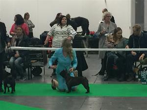IMG_3448[1]
