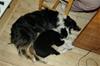 C:\Users\camillak\Desktop\i34948750._szt5_[1]