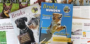 tidn_brukshunden_476x235-width476
