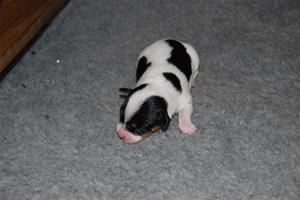 DSC_0064 DSC_0064