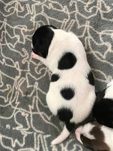 IMG_4334 IMG_4334