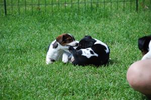 DSC_0251 DSC_0251