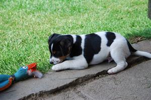 DSC_0249 DSC_0249