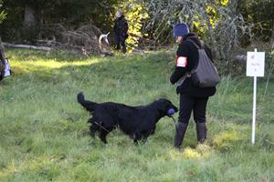 IMG_4670