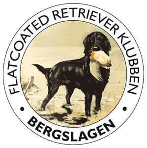 FRK_logo_Bergslagen-600px