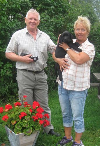 Harald o ellen Harald o ellen