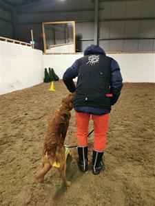 IMG_20191112_195629