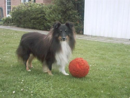 IMG_2620 IMG_2620