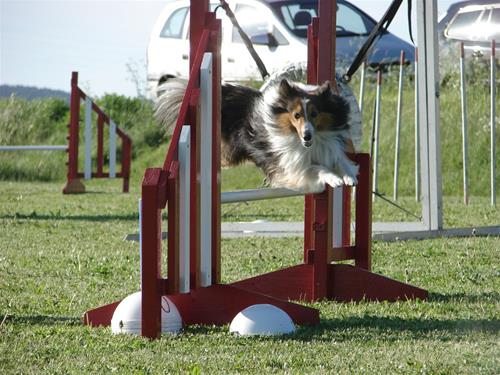 IMG_2647 IMG_2647