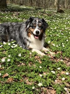 IMG_4118 IMG_4118
