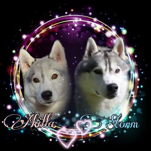 akillastorm1