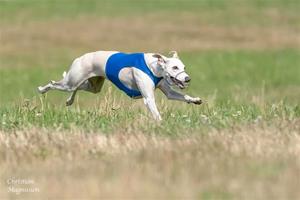 IMG_16969998149756 IMG_16969998149756