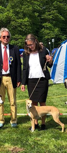 20180519_173117 20180519_173117