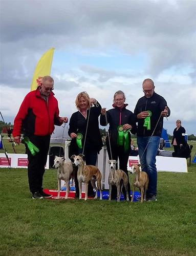 42333037_2217240201633987_1153491725939900416_n 42333037_2217240201633987_1153491725939900416_n