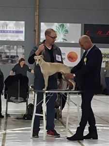 FB_IMG_1458159184064[1]
