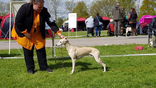 20190512_110301 20190512_110301