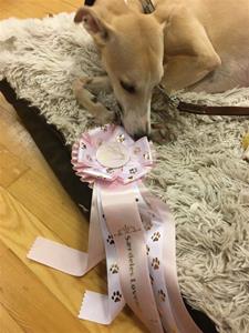 FB_IMG_1521973550099 FB_IMG_1521973550099