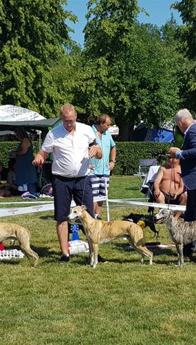 20190802_124523 20190802_124523