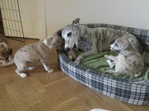 Jessa_valpar Jessa_valpar