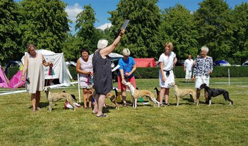 20190802_131303-982x578 20190802_131303-982x578