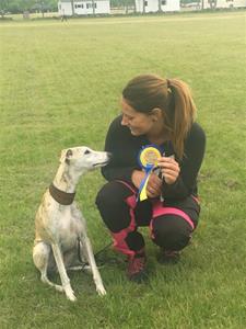 Hobbe agility Hobbe agility