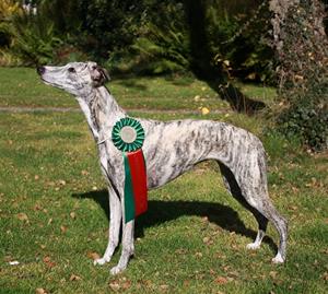 Jessa2010_champ Jessa2010_champ