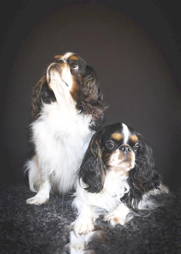 Otto & Ebbe