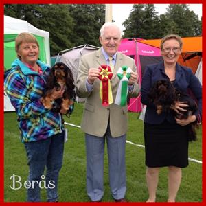 24. SDHK 2014-06-28 Borås
