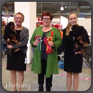 59. Herning 2014-11-01