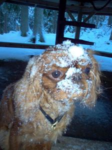 Snögumman Amy. Snö är härligt.