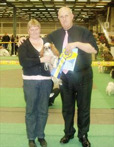 Hund 2009 Hund 2009