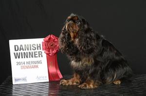 34 .Lucky Dansk vinnare 2014 34 .Lucky Dansk vinnare 2014