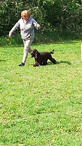 VID_20190530_113430_Moment(4)