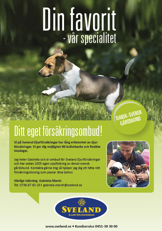gabriela_dansk-svensk gårdshund gabriela_dansk-svensk gårdshund