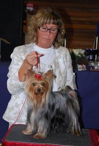 2012_syts 2012_syts