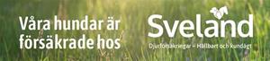 Banner hund