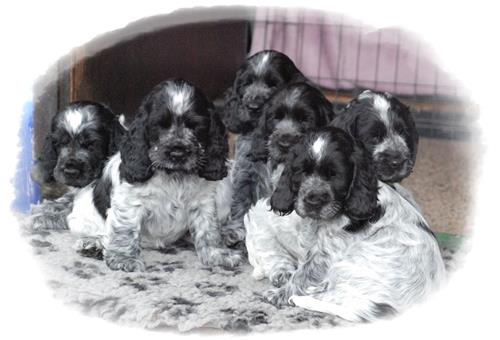 gruppbild gruppbild