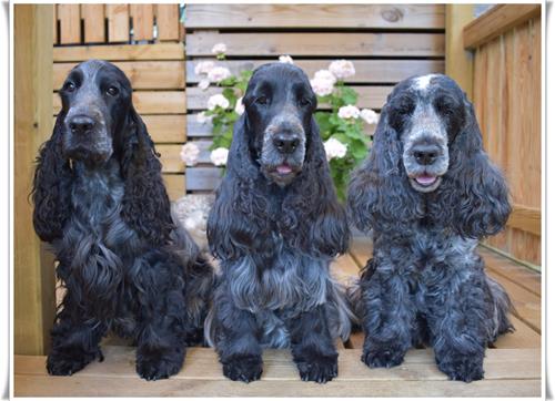 3generationer3 3generationer3