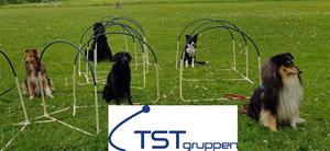 TST hoopers