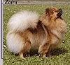 Charmy (2) Charmy (2)