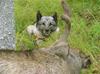 images (6)