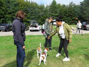 IMG_8088 IMG_8088