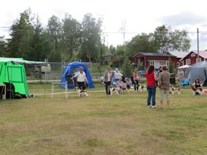 IMG_1147 IMG_1147