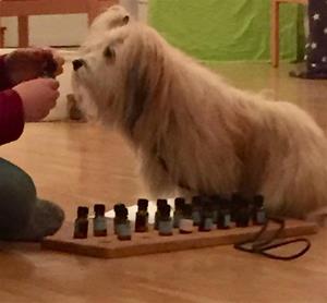 12736167_10153850568866830_980403736_n 12736167_10153850568866830_980403736_n