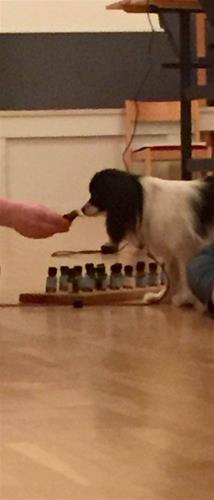 12788221_10153853368791830_1958575371_n 12788221_10153853368791830_1958575371_n