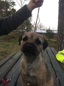 Bo Helmersson Bo Helmersson