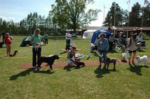 2011-05-21 (950)