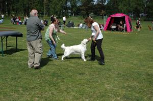 2011-05-21 (800)